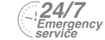 24/7 Emergency Service Pest Control in Rush Green, RM7. Call Now! 020 8166 9746