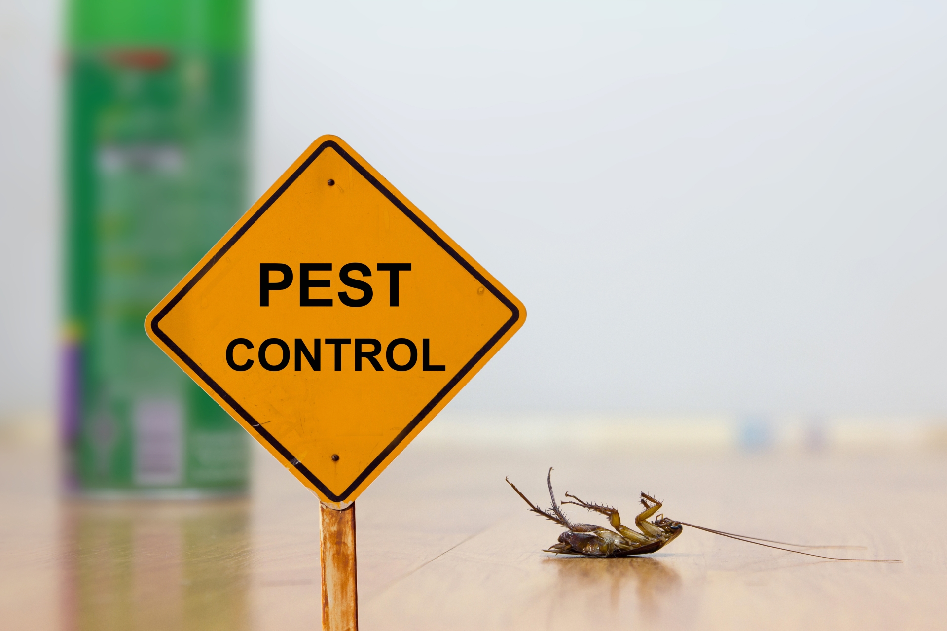 24 Hour Pest Control, Pest Control in Rush Green, RM7. Call Now 020 8166 9746